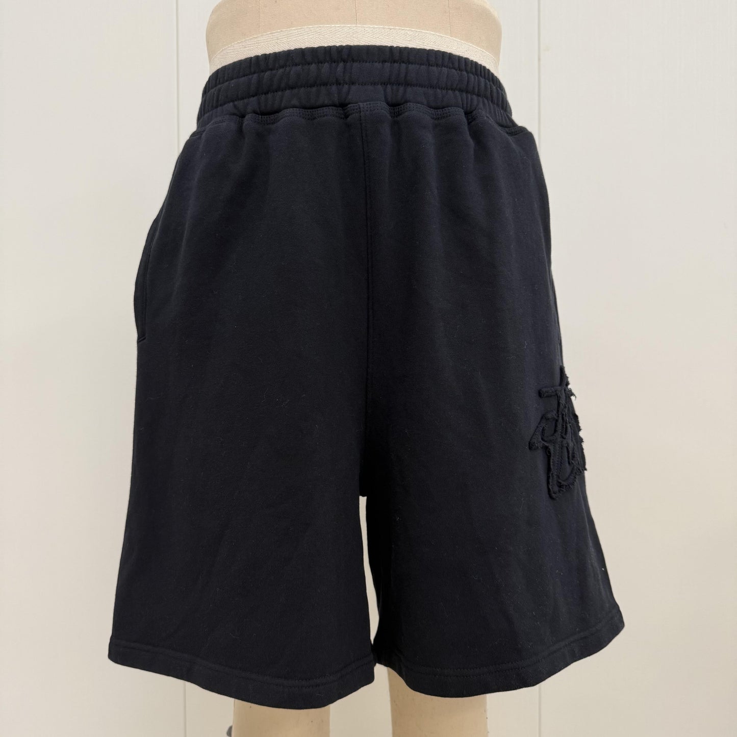 Stussy Shorts